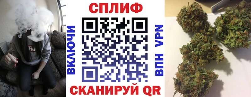 Каннабис сатива  Сасово 
